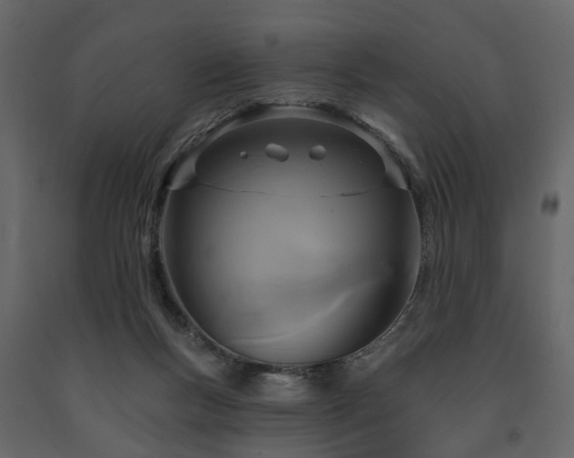 X0000091640167200708231207