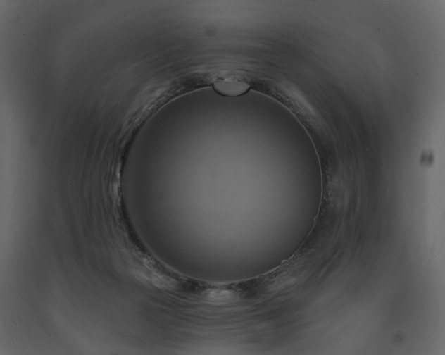X0000091640169200708231207
