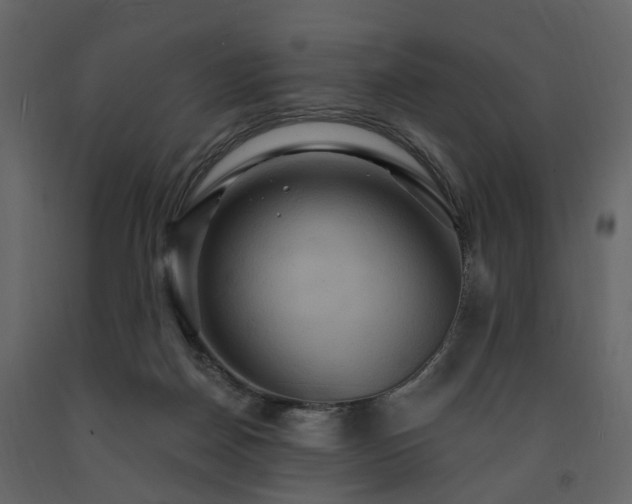 X0000091640170200708231207