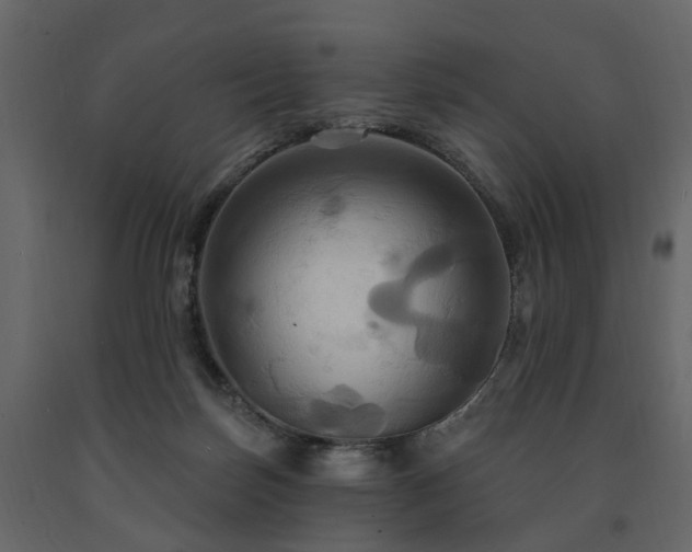 X0000091640171200708231207