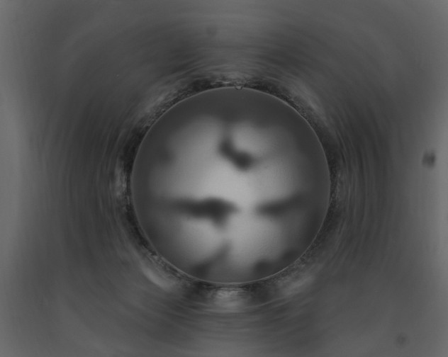 X0000091640173200708231207