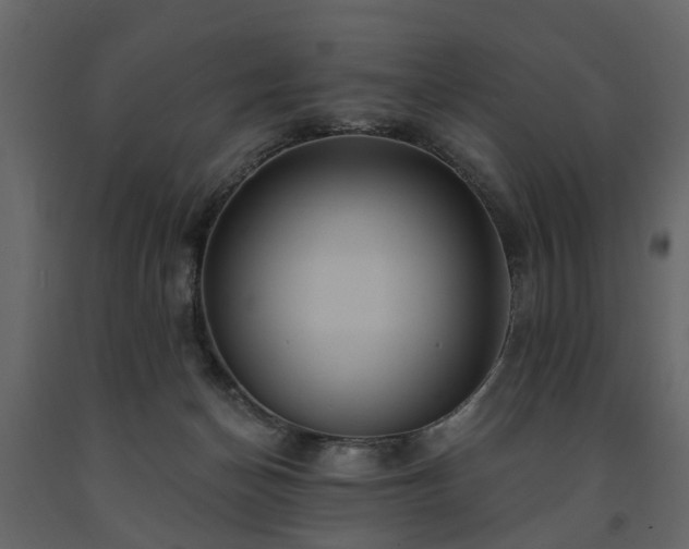 X0000091640174200708231207