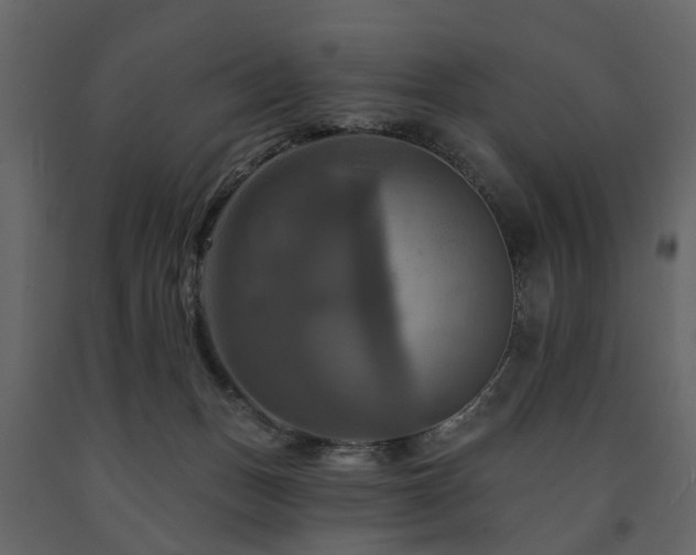 X0000091640175200708231207
