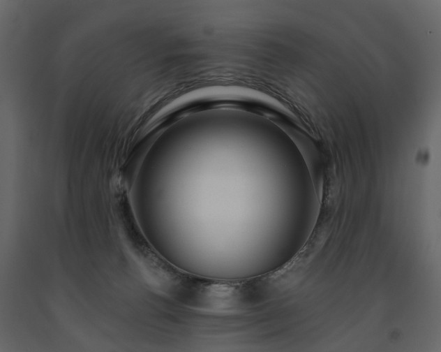 X0000091640176200708231207