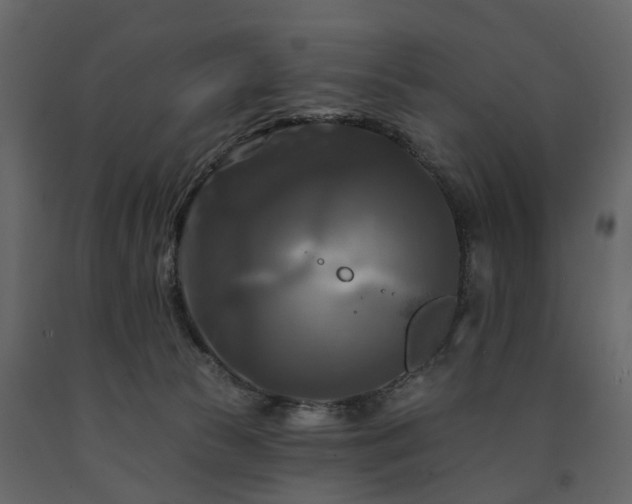 X0000091640177200708231207