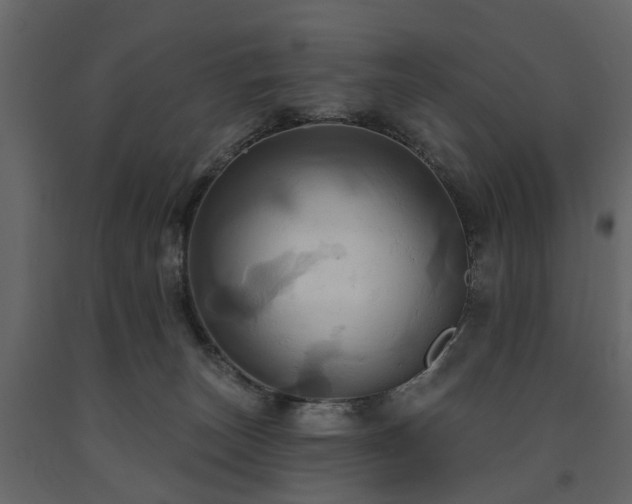 X0000091640179200708231207