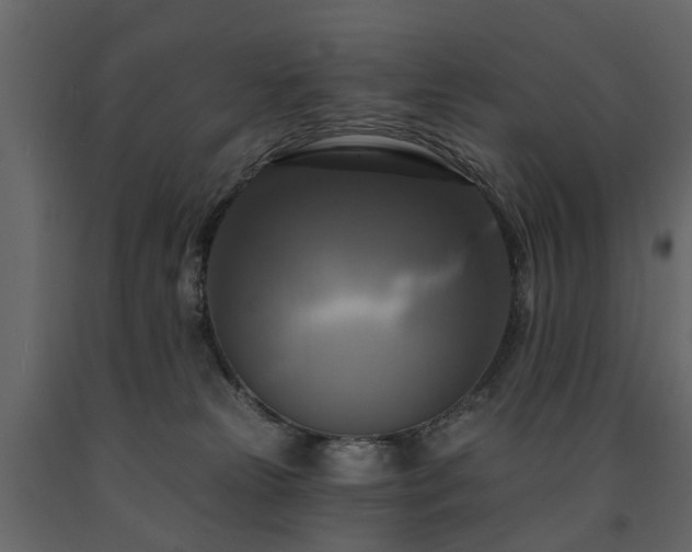 X0000091640181200708231207