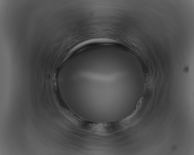 X0000091640182200708231207