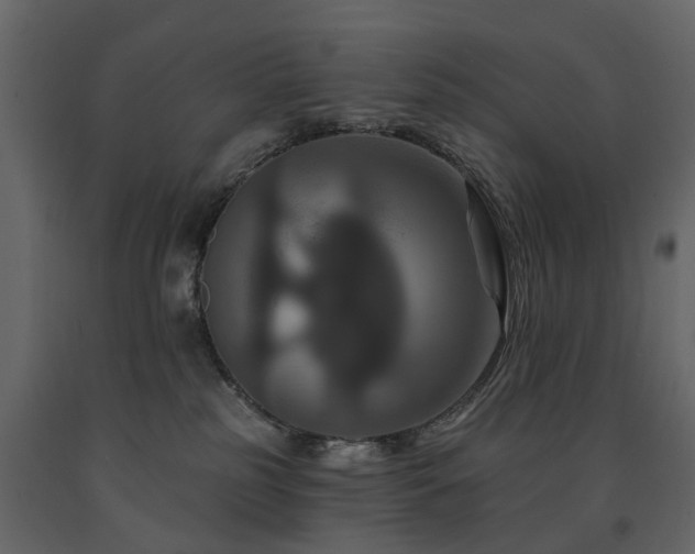 X0000091640185200708231207