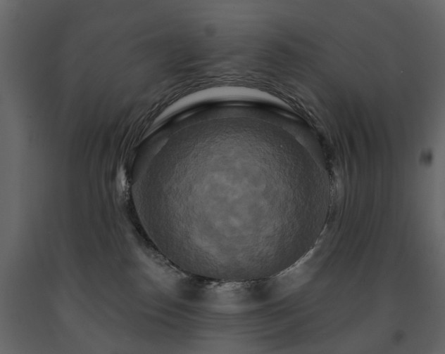 X0000091640186200708231207