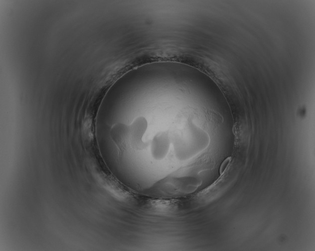 X0000091640187200708231207