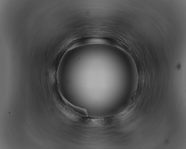 X0000091640188200708231207