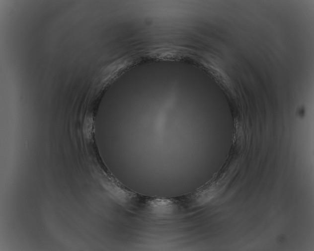 X0000091640189200708231207
