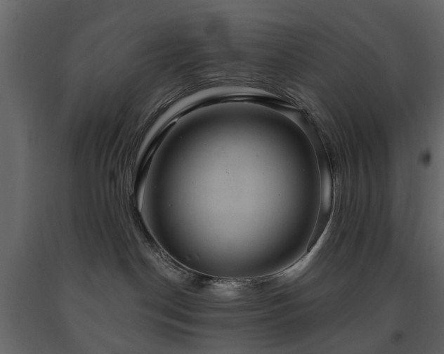 X0000091640190200708231207