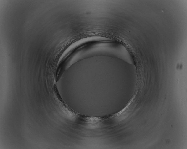 X0000091640192200708231207