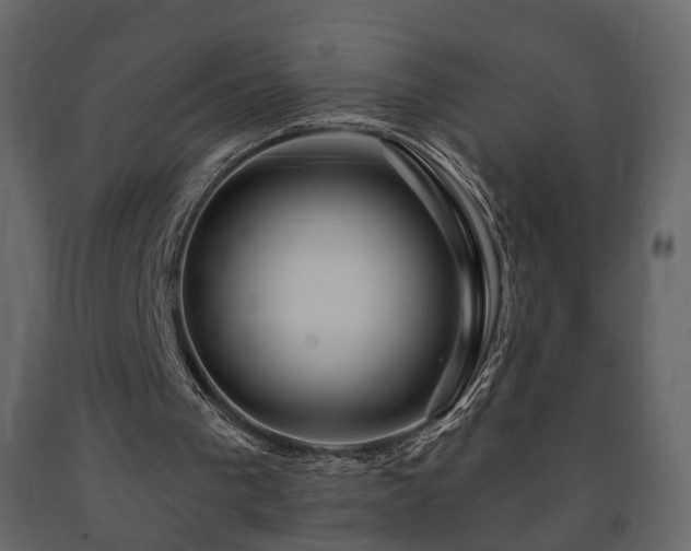 X0000091640193200708231206