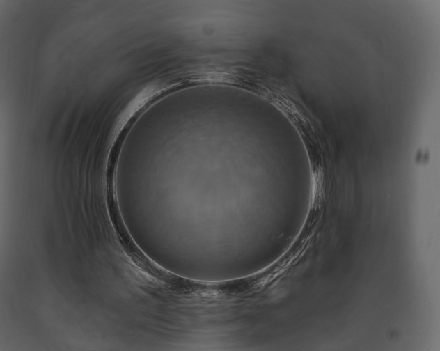 X0000091640195200708231206