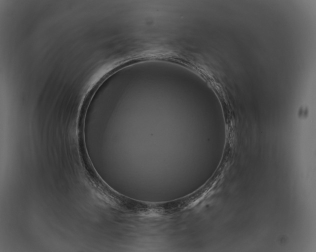 X0000091640196200708231206