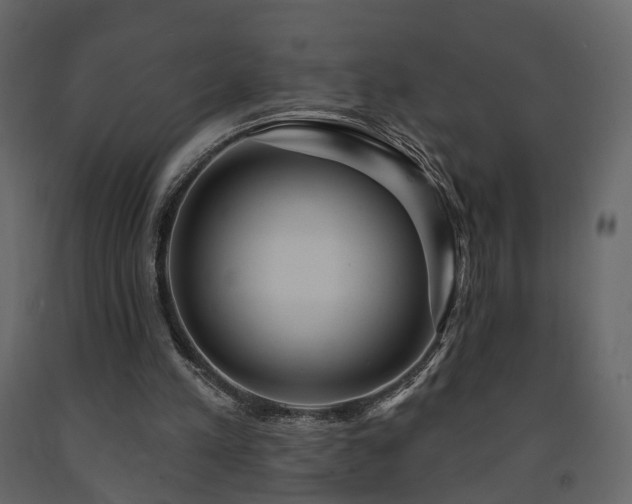 X0000091640197200708231206