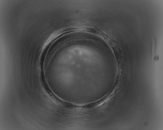 X0000091640198200708231206