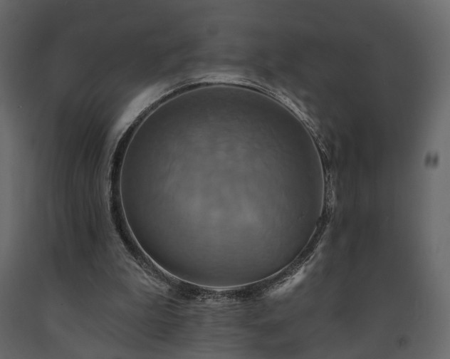 X0000091640199200708231206
