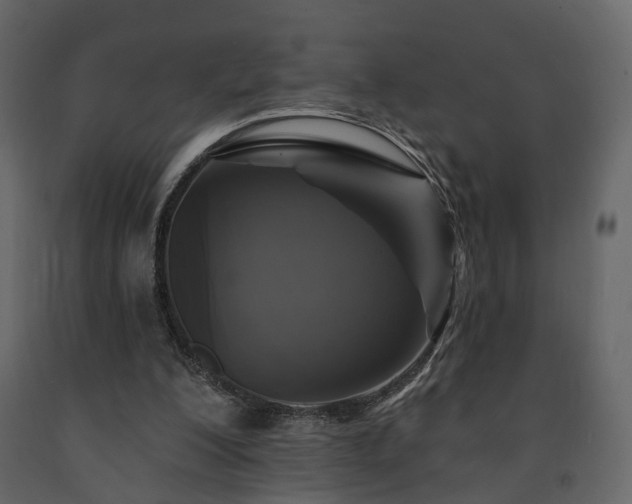 X0000091640200200708231206