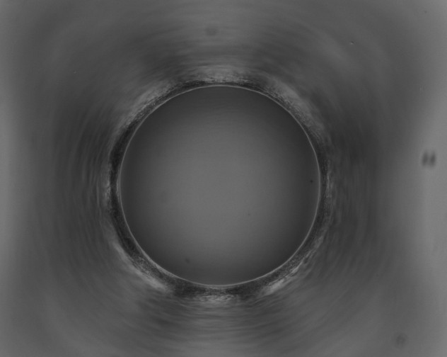X0000091640202200708231206