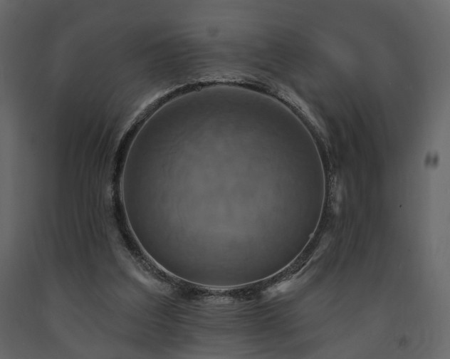 X0000091640203200708231206