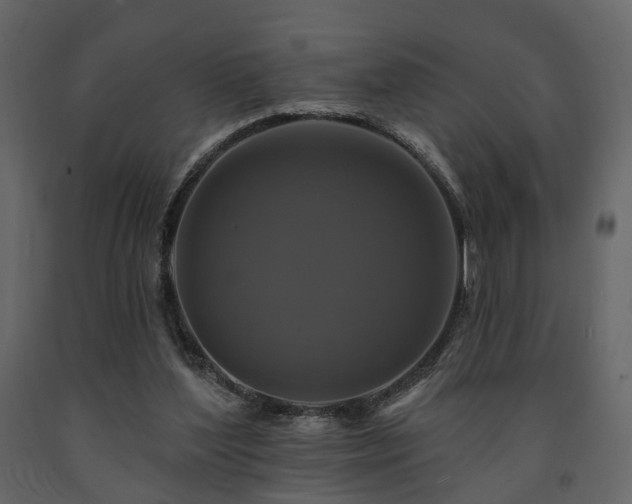 X0000091640204200708231206