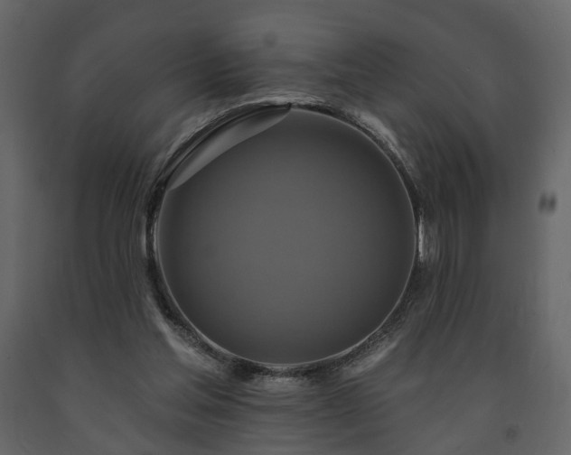 X0000091640205200708231206