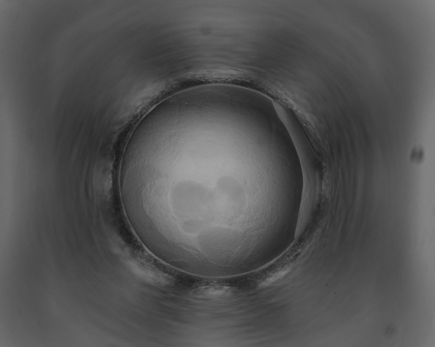 X0000091640206200708231206