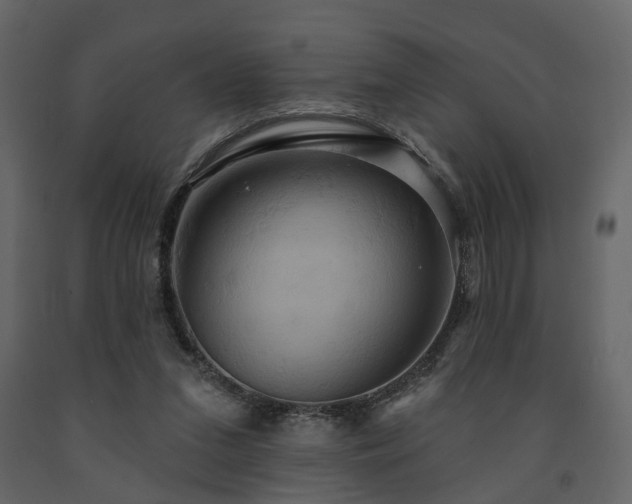 X0000091640207200708231206