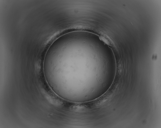 X0000091640208200708231206