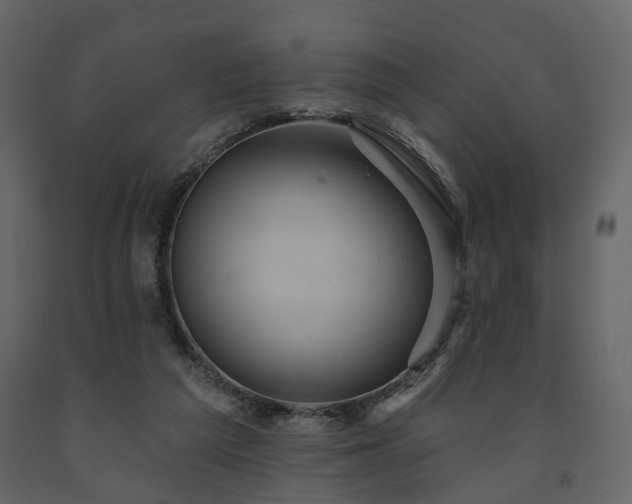 X0000091640209200708231206
