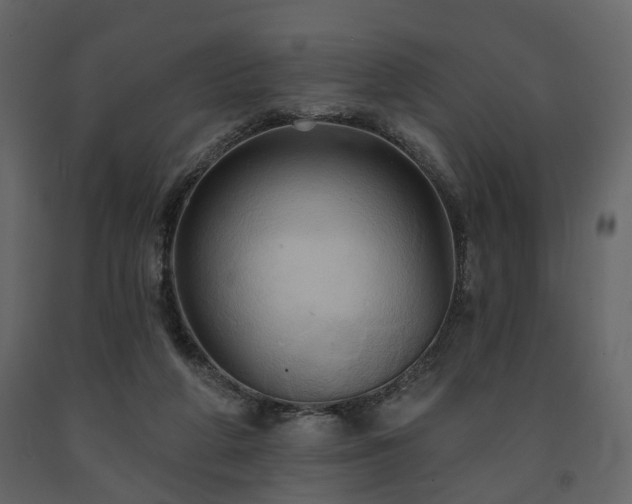 X0000091640210200708231206