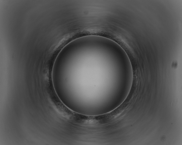 X0000091640212200708231206