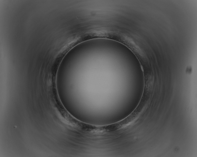 X0000091640213200708231206