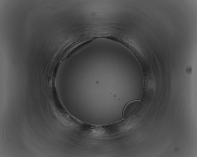 X0000091640214200708231206