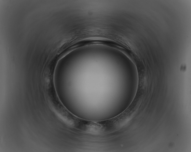 X0000091640215200708231206