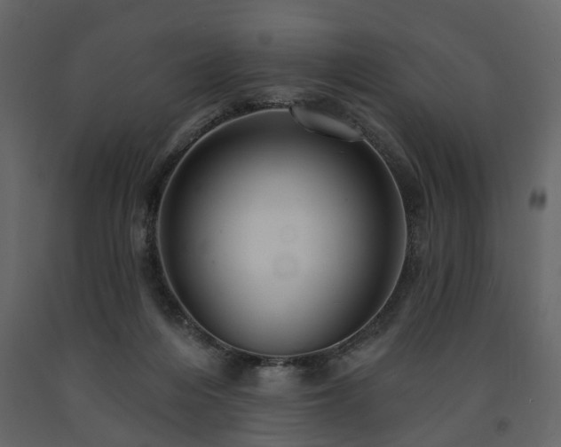 X0000091640216200708231206