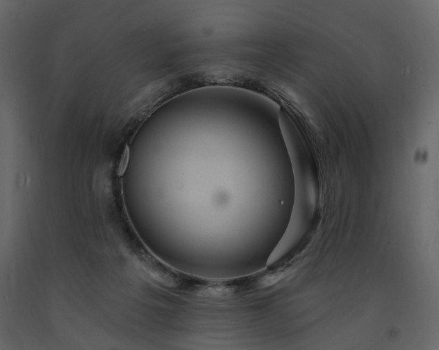 X0000091640217200708231206