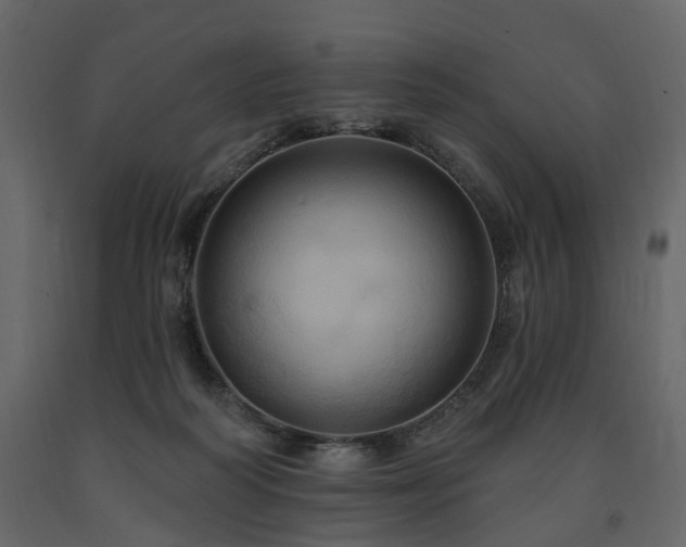 X0000091640218200708231206
