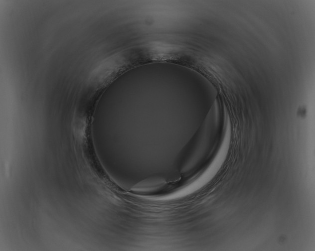 X0000091640219200708231206