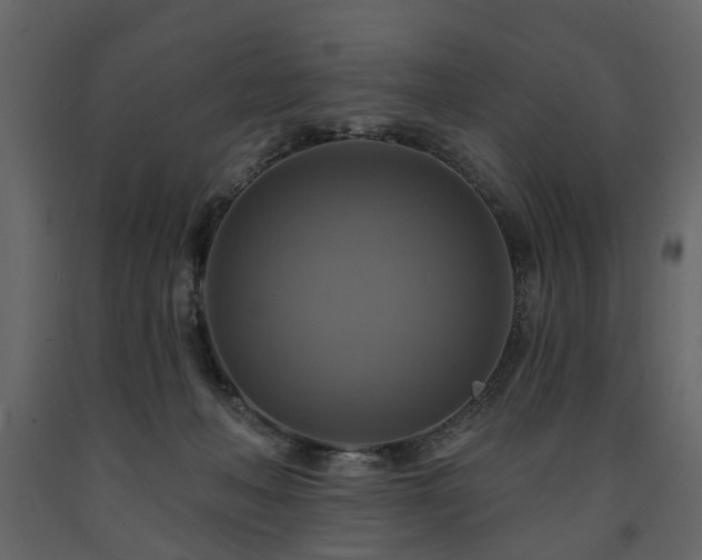 X0000091640222200708231206