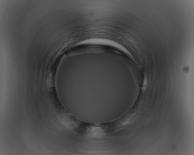 X0000091640224200708231206