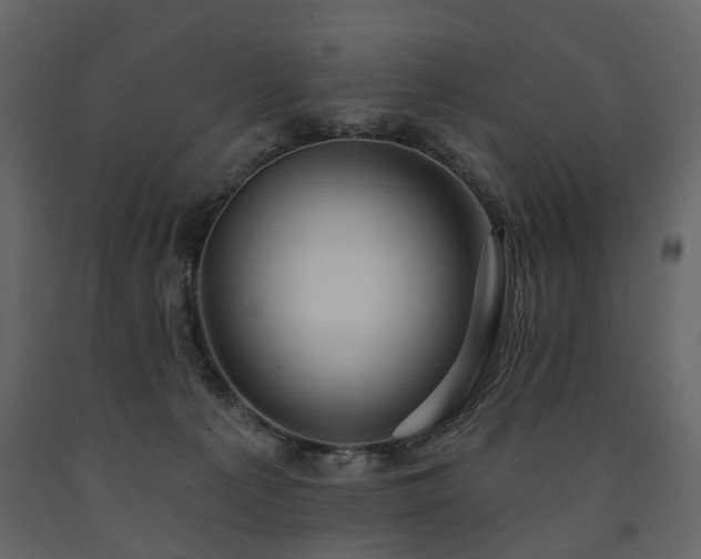 X0000091640225200708231206