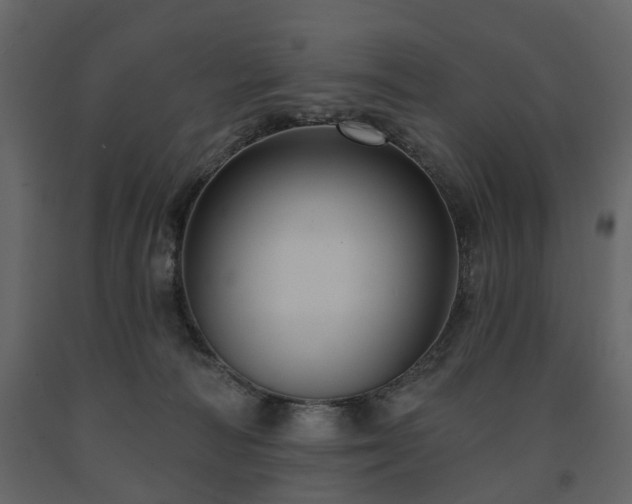 X0000091640226200708231206