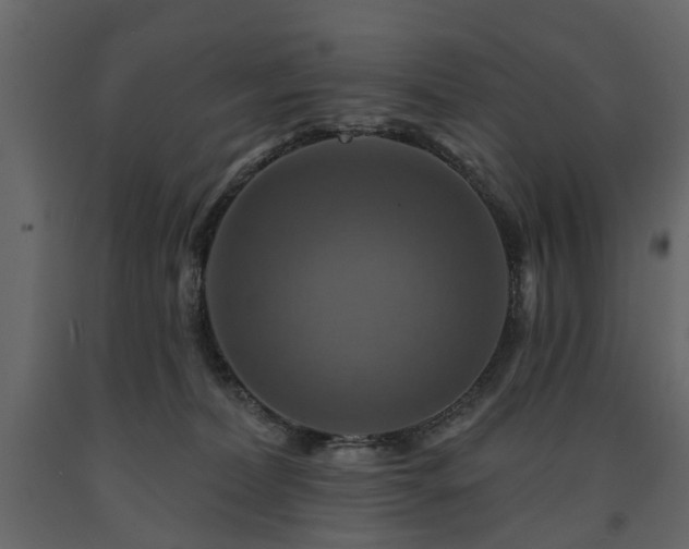 X0000091640228200708231206