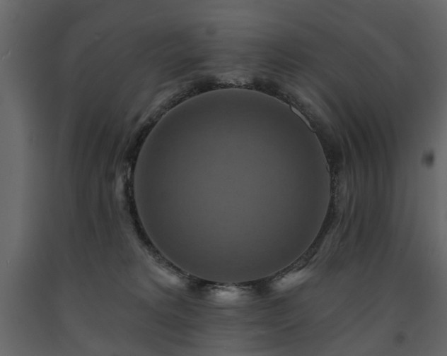 X0000091640229200708231206