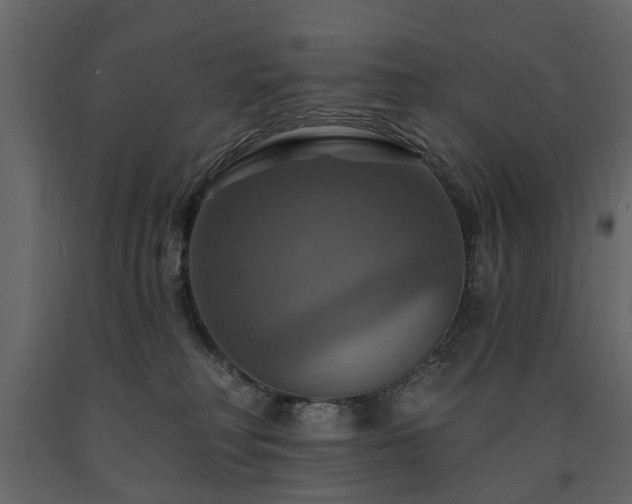 X0000091640230200708231206